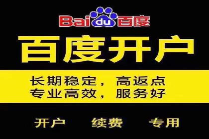 百度广告推广助力企业品牌塑造案例